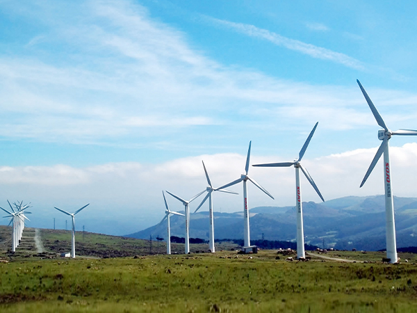 �½�bodog����ľ��300MW�����Ŀ